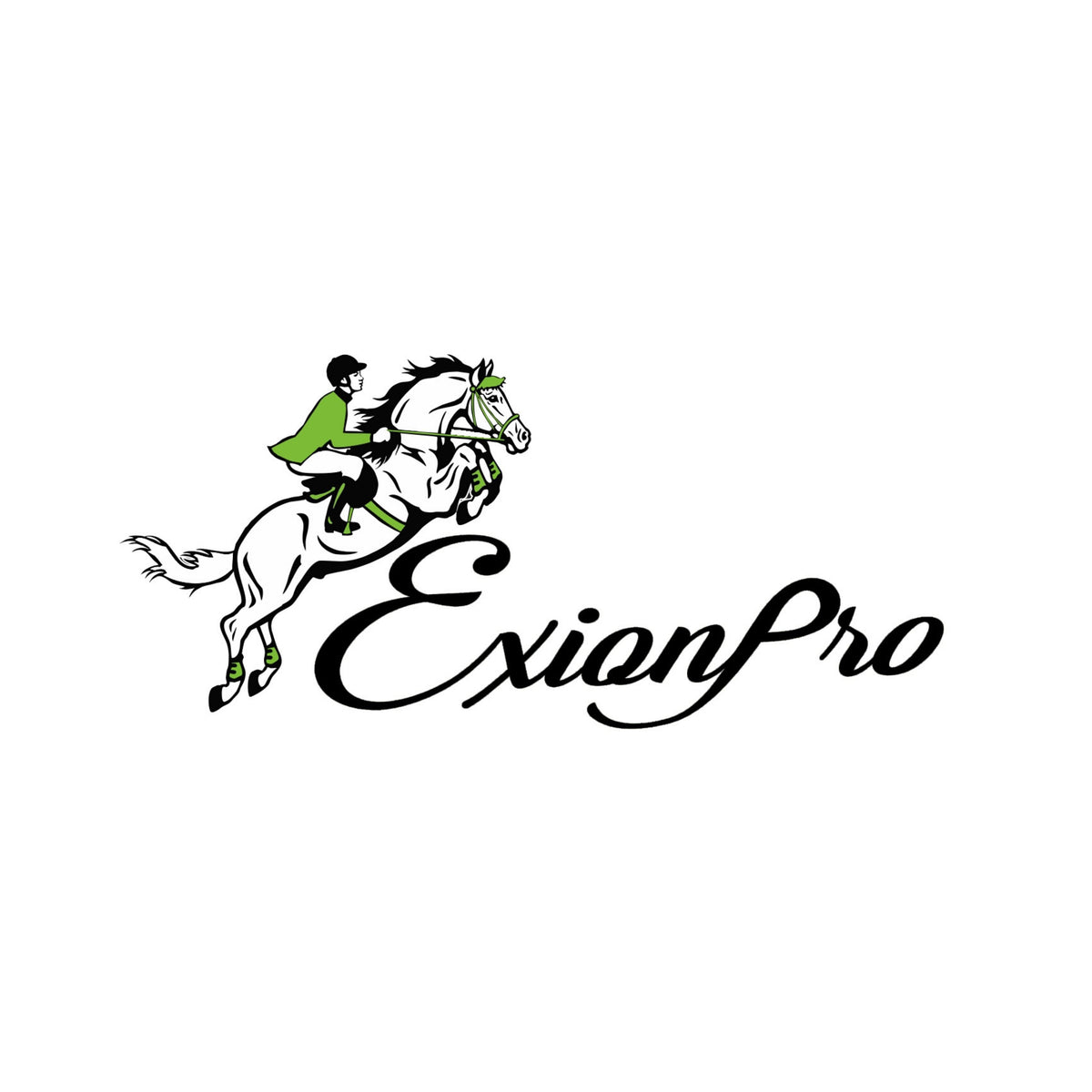 ExionPro Fancy Stitched Padded Leather Dog Collar - Conker Padding