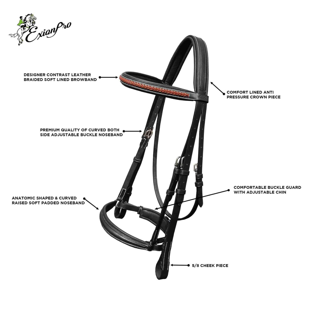 ExionPro Net Braided Browband & Dressage Bridle with Web Reins - HT Animal Supply