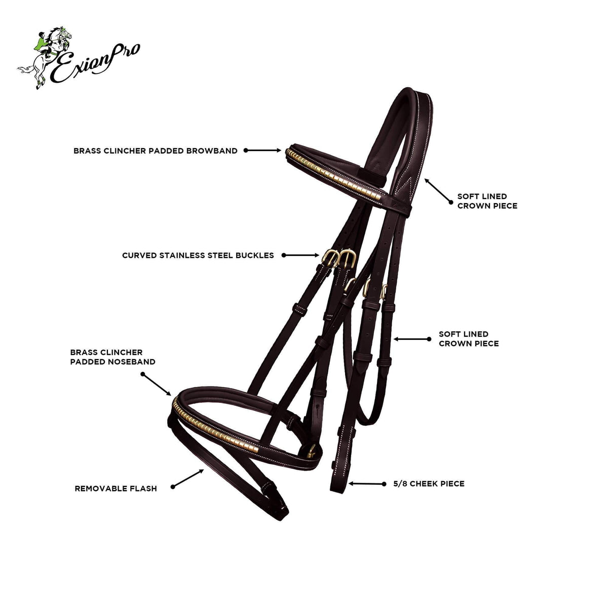 ExionPro Brass Clincher Studded Bridle With Flash and Reins - HT Animal Supply