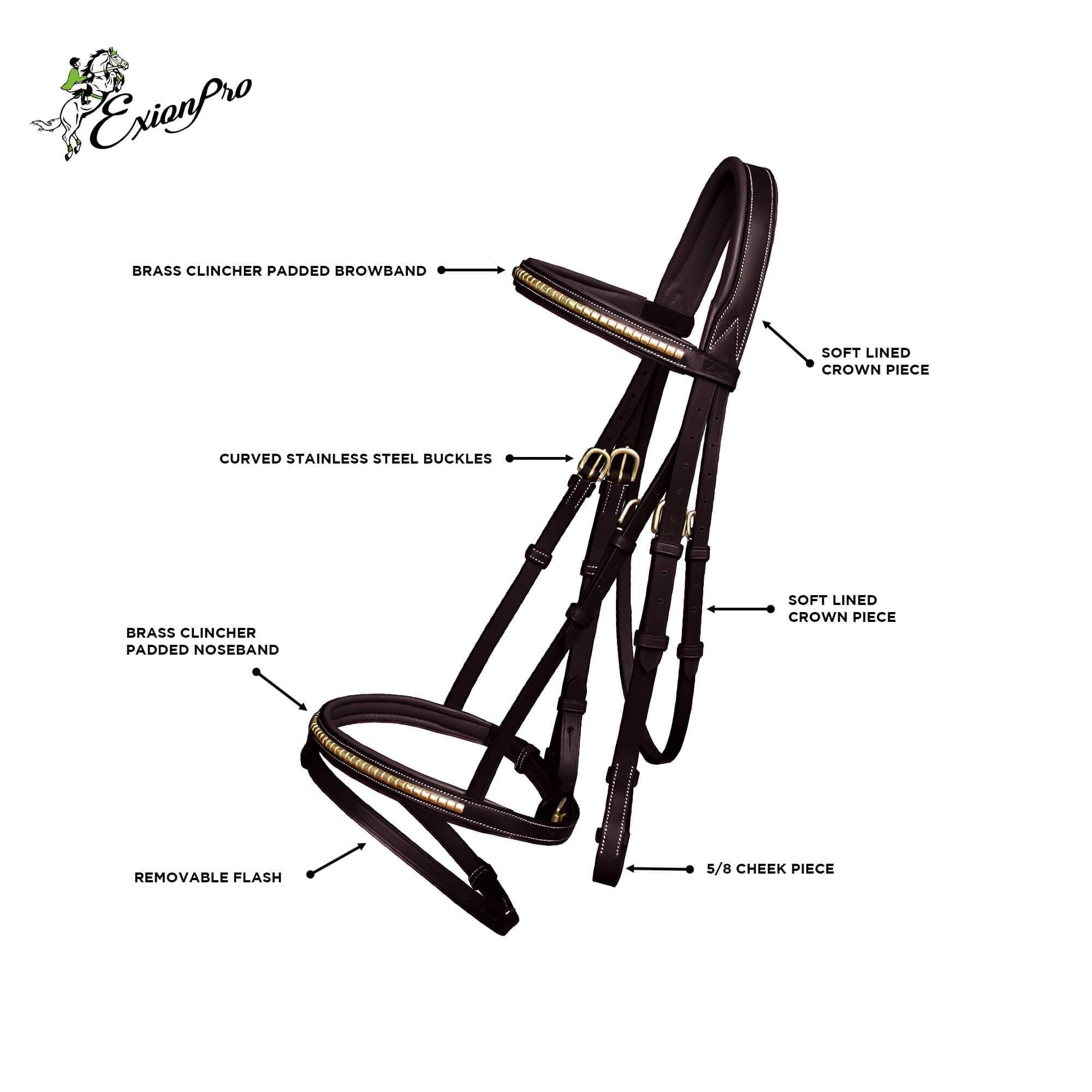 ExionPro Brass Clincher Studded Bridle With Flash and Reins - HT Animal Supply