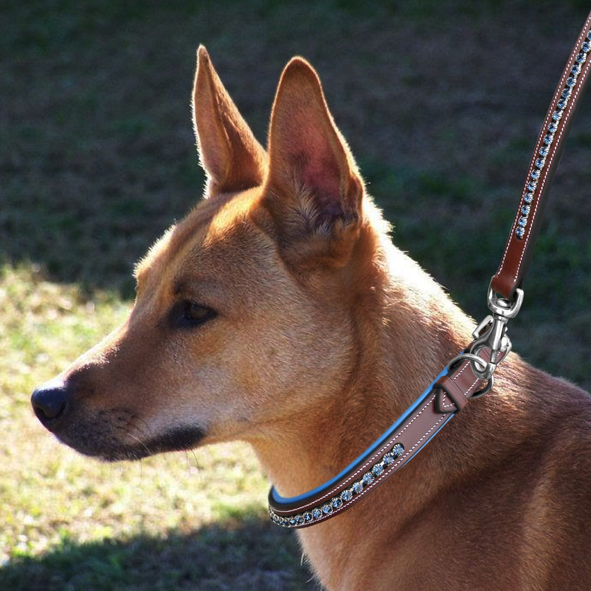 ExionPro Dark Blue Bling Dog Collar With Leash