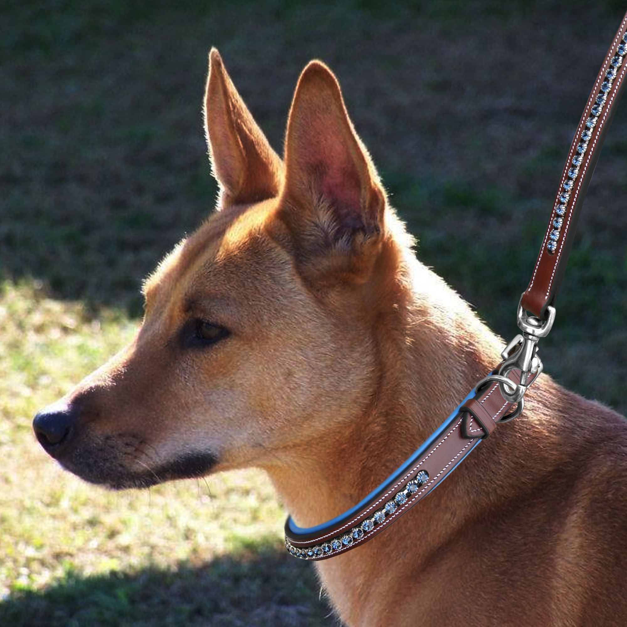 ExionPro Dark Blue Bling Dog Leash