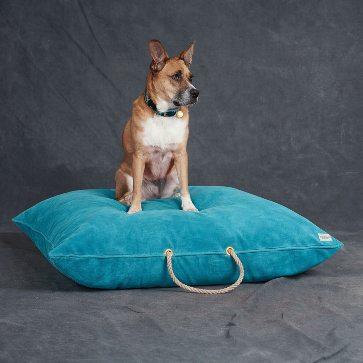 Aqua Washable Velvet Dog Bed