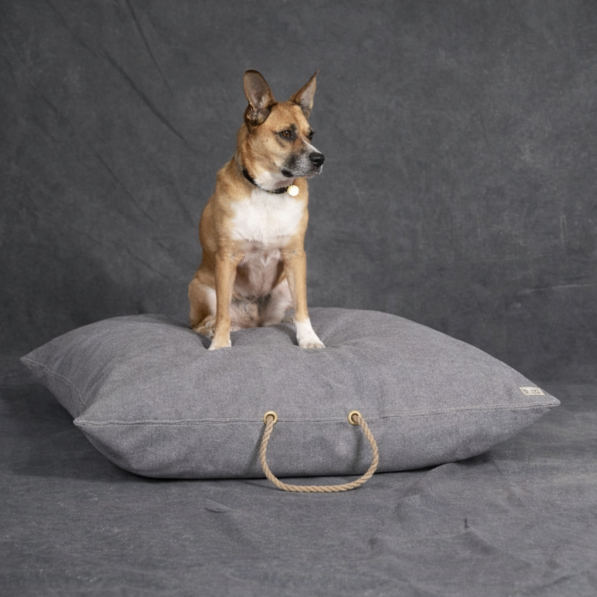 Gray Waxed Cotton Canvas Dog Bed