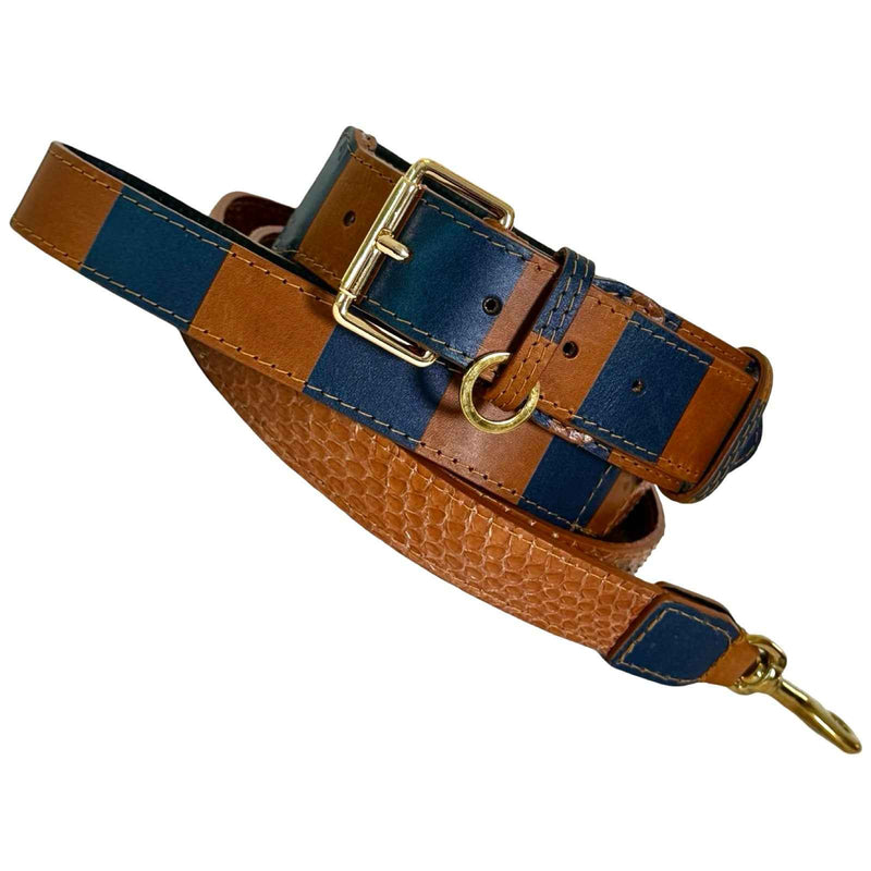 Allysa Payne Riviera Classic Dog Collar & Leash Set