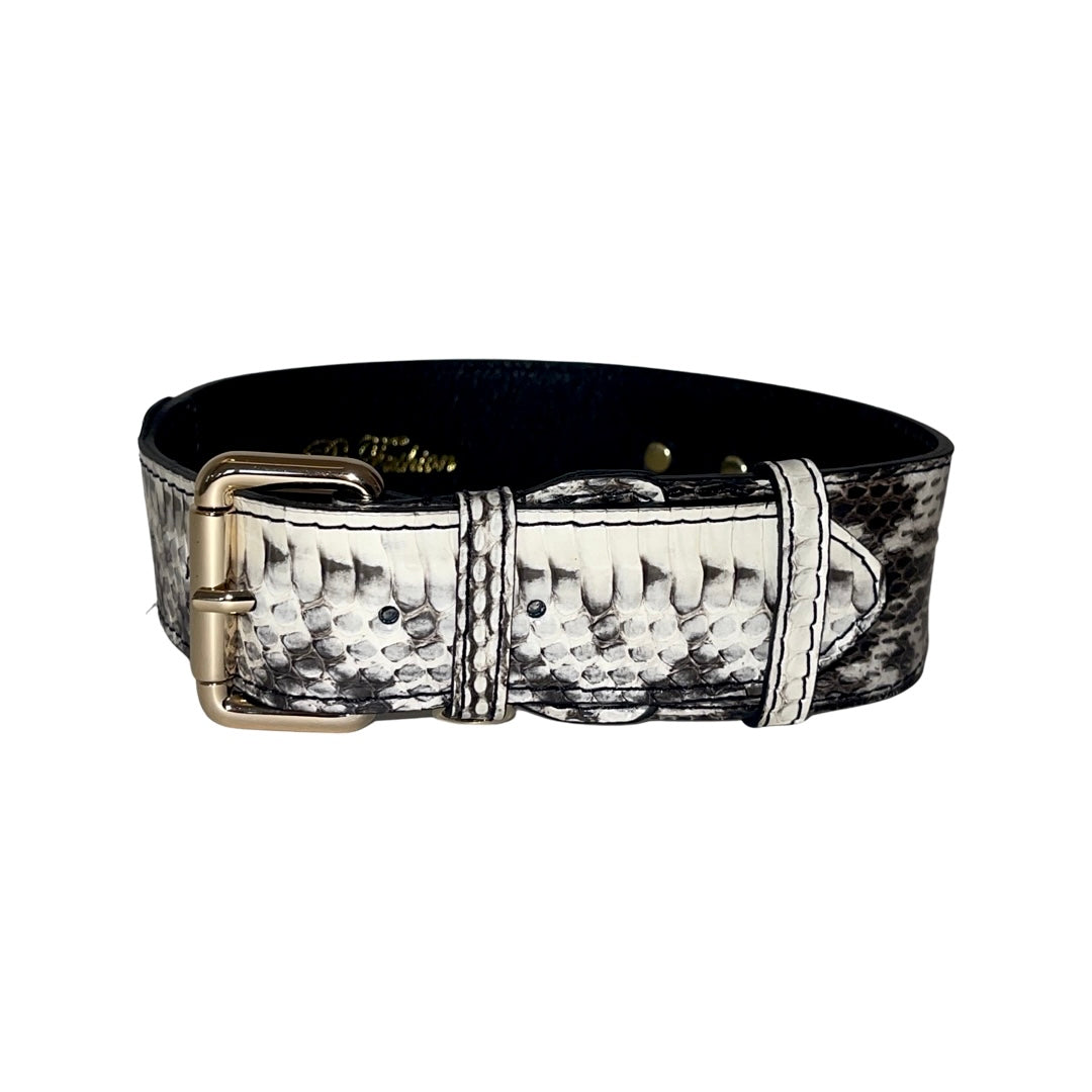 Allysa Payne White & Black Classic Snake Dog Collar