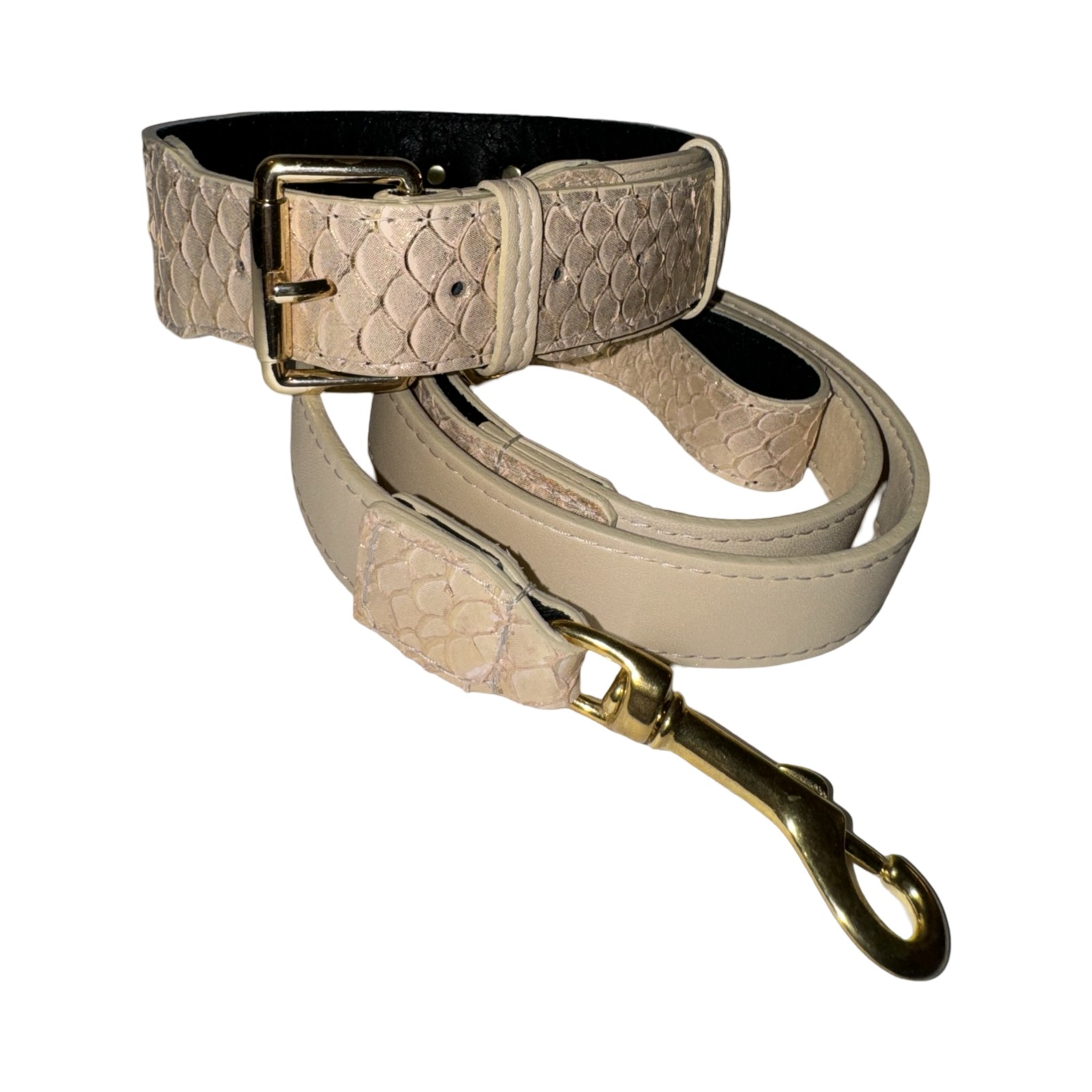 Allysa Payne Hollywood Glam Classic Dog Collar