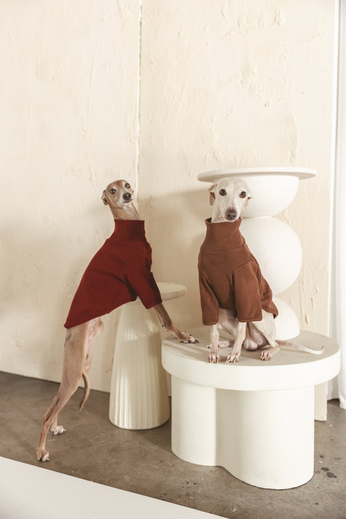 The Heirloom Turtleneck