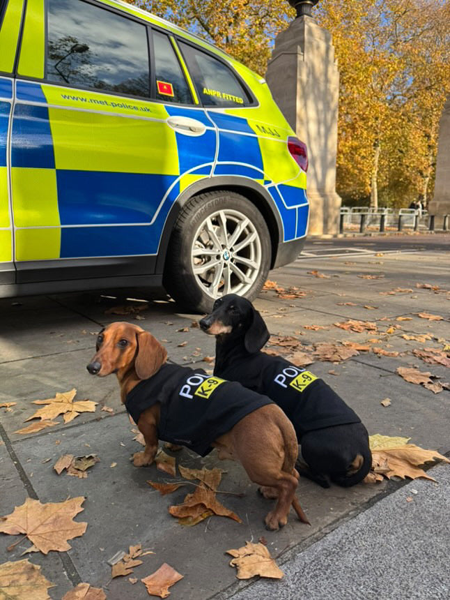 Parisian Pet Police K-9 Unit Dog Outfit  Comfortable Uniform for Small Dogs & Cats, Black