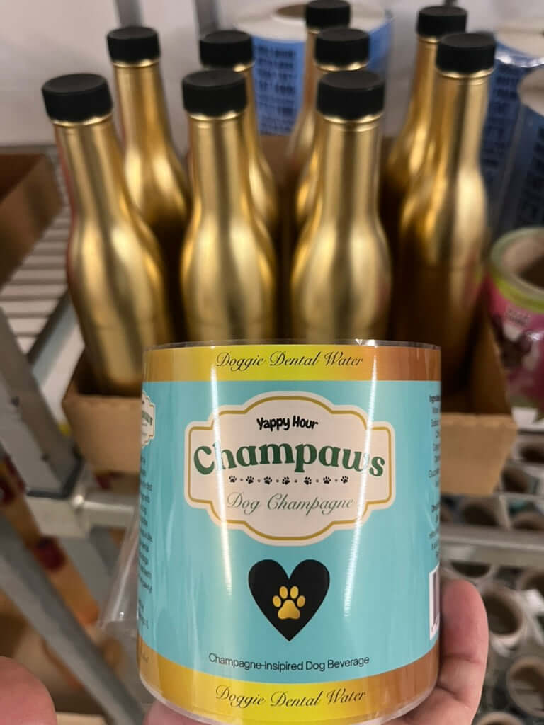 Champaws Dog Champagne