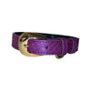 XS/S 7"-14" Iridescent Purple Custom Snake Collar/Custom Gold Italian Hardware