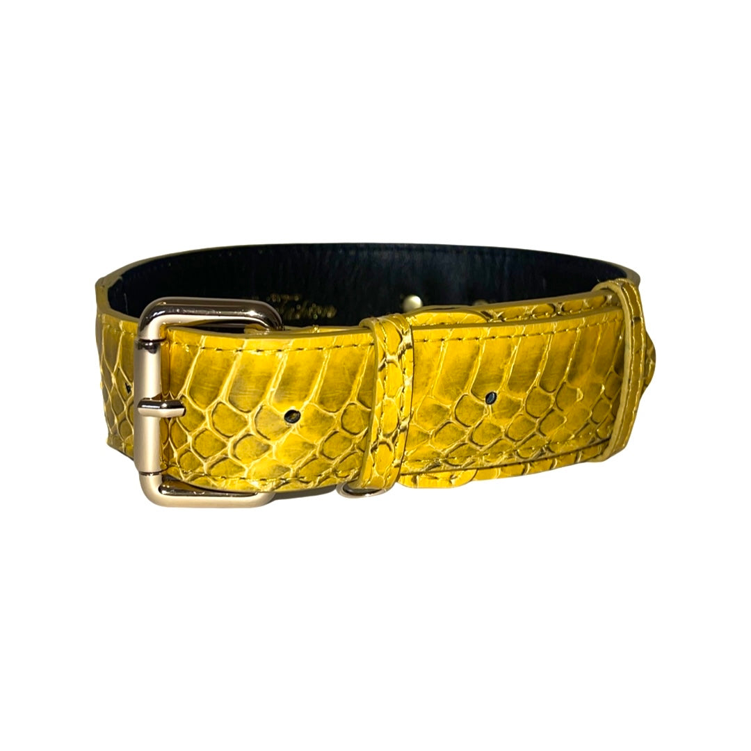 Allysa Payne Mustard Yellow & Black Snake Classic Dog Collar