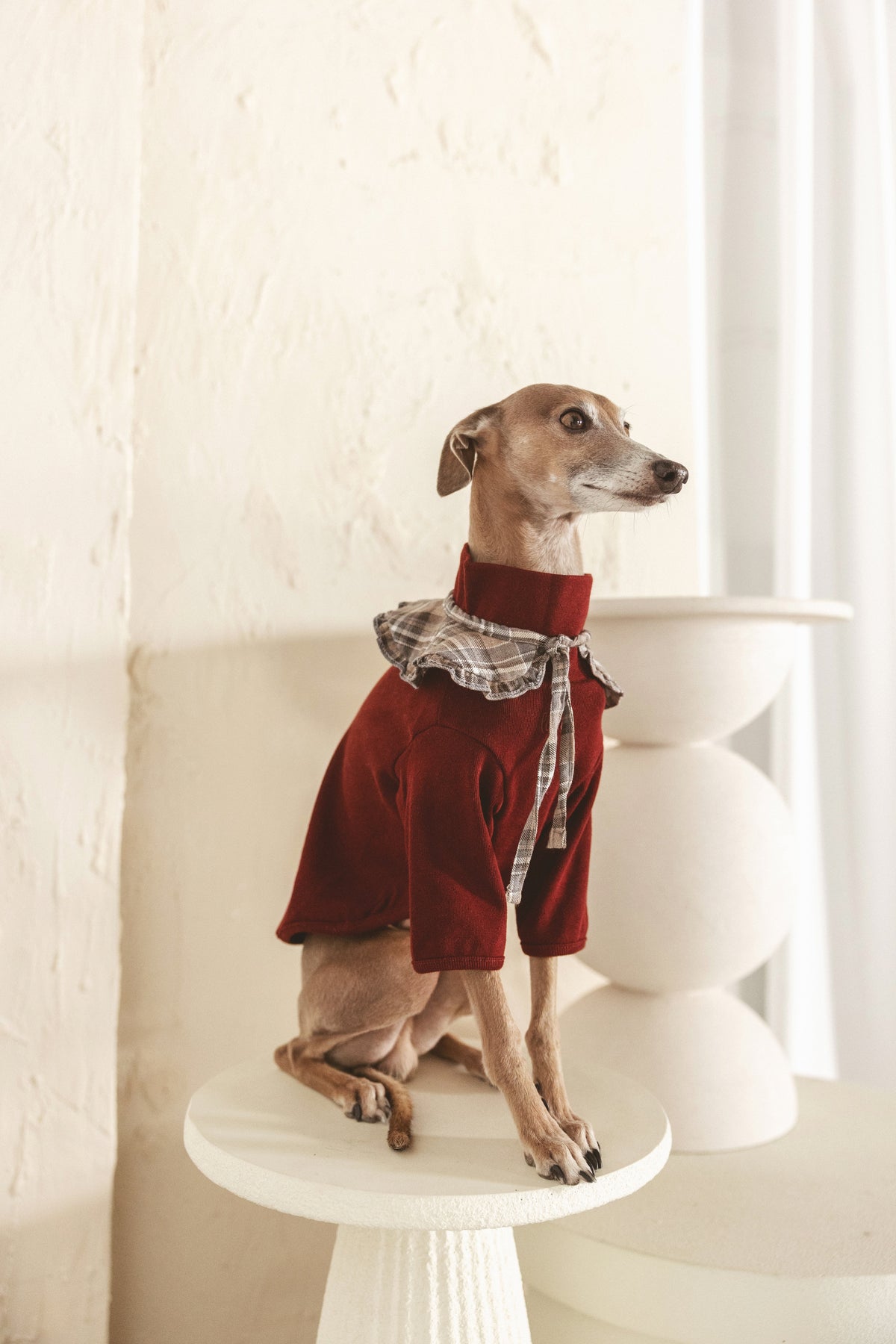 Roux Collar