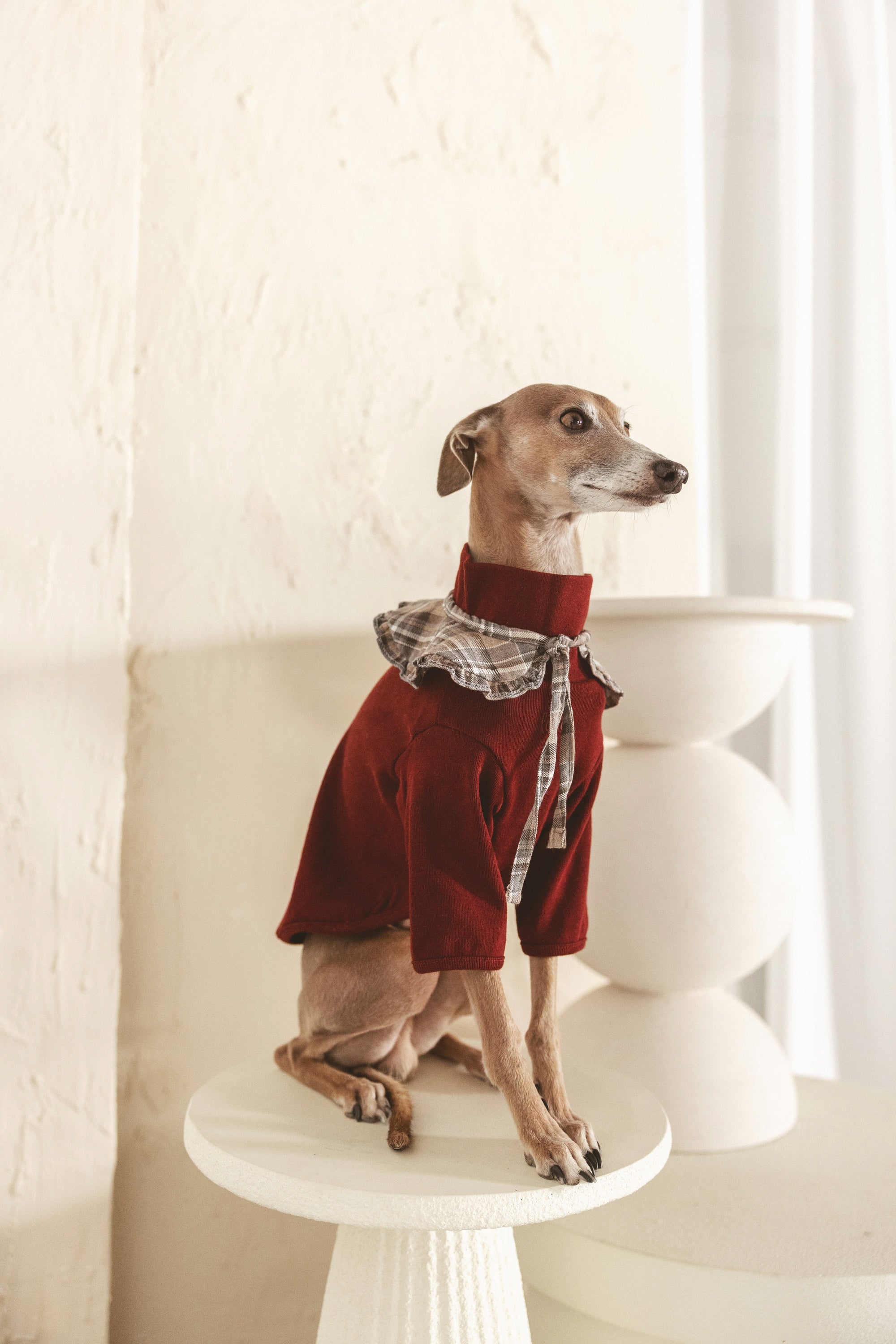 The Heirloom Turtleneck