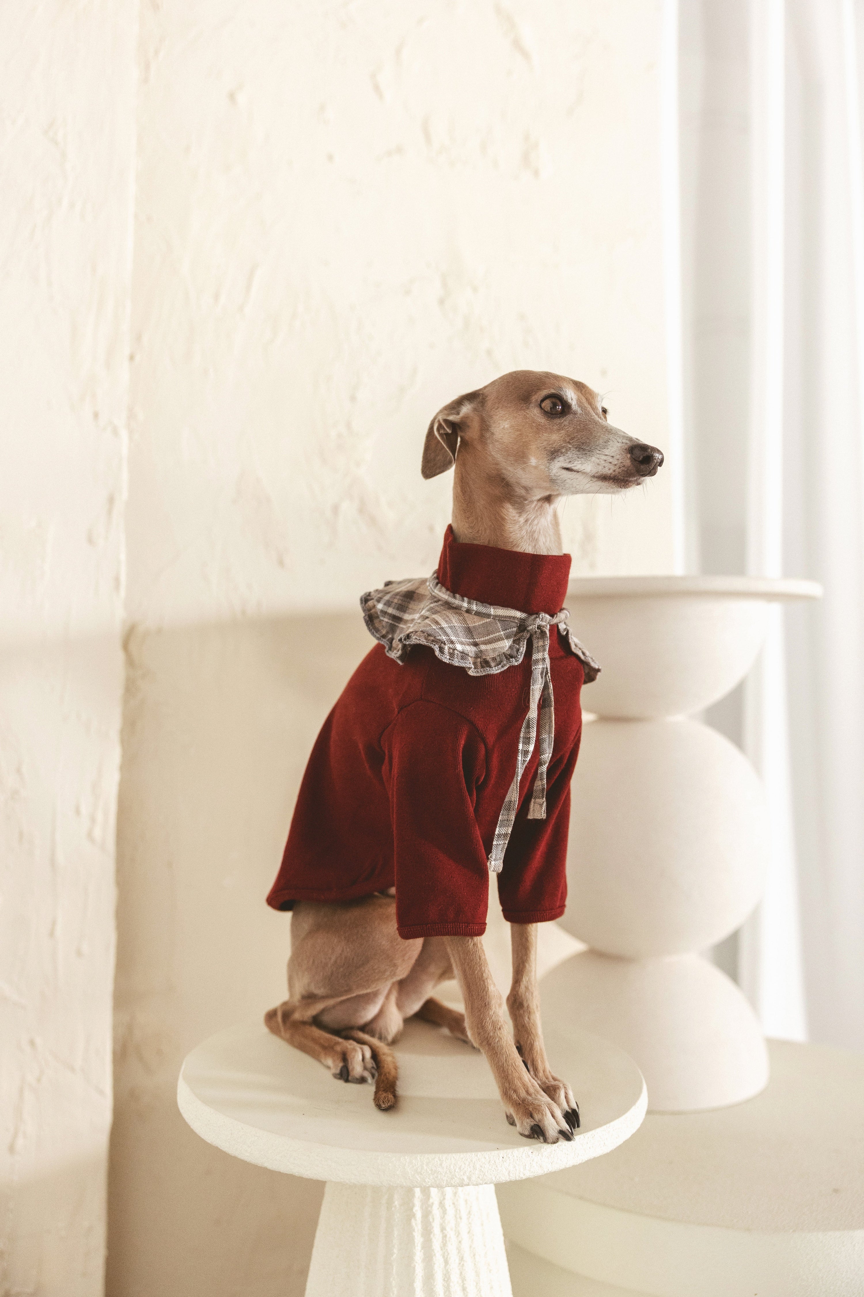 The Heirloom Turtleneck