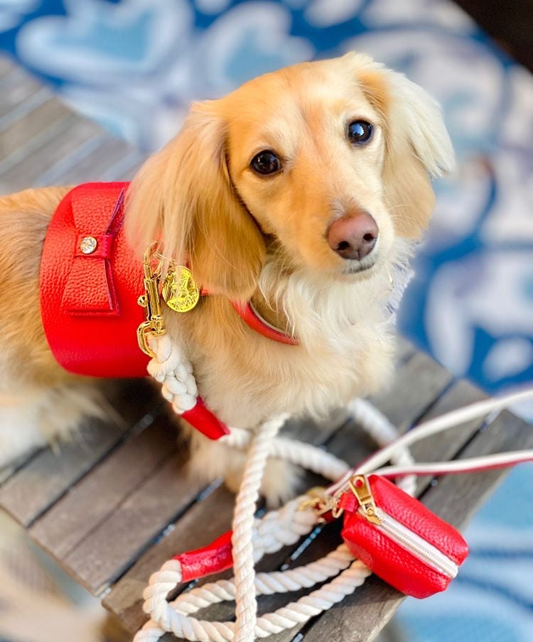 Waste Bag Holder - Melting Hearts