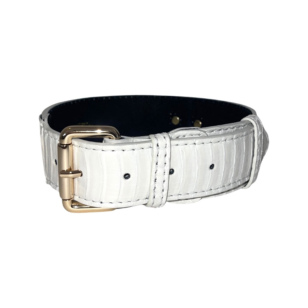 Allysa Payne Matte white Snake With Gold Classic Hardware