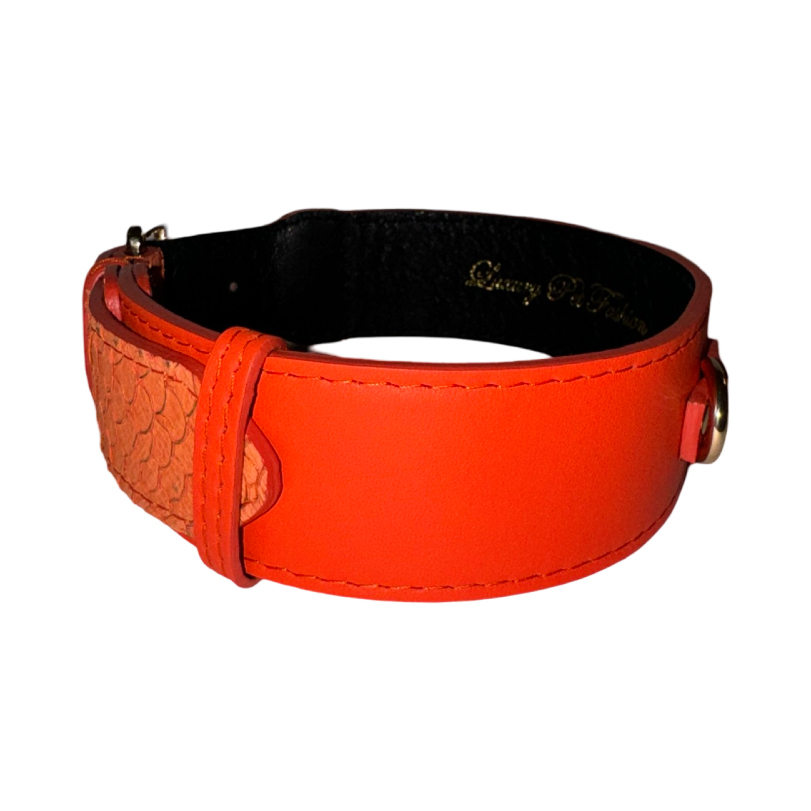 Allysa Payne The Perfect Orange Classic Dog Collar