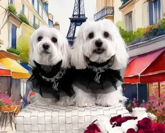 Whimsical Wedding: Imperial