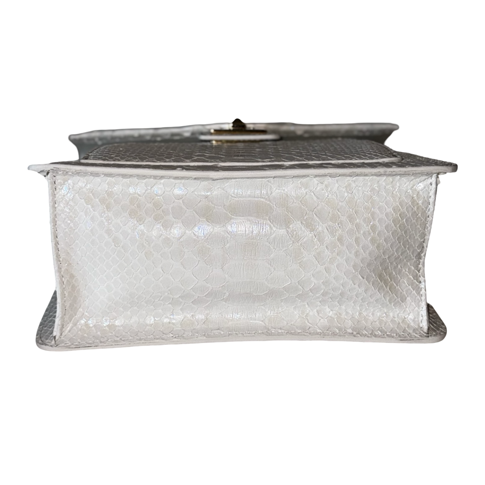 Allysa Payne Cosmo Horse Handle Handbag In Iridescent White Python