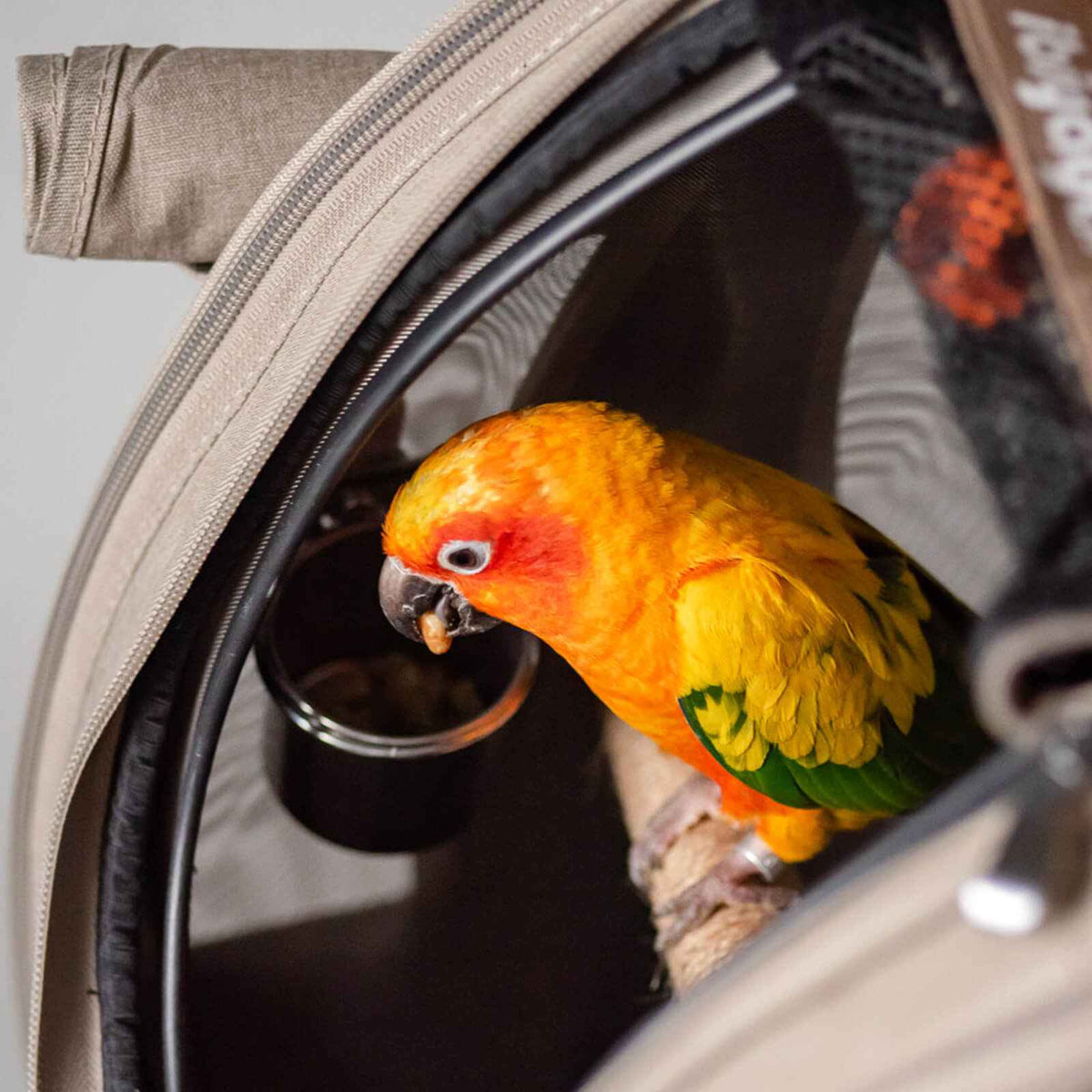 ibiyaya ibiyaya x BirdTricks TrackPack for Birds, Patented Small Bird Carrier Backpack with Perch