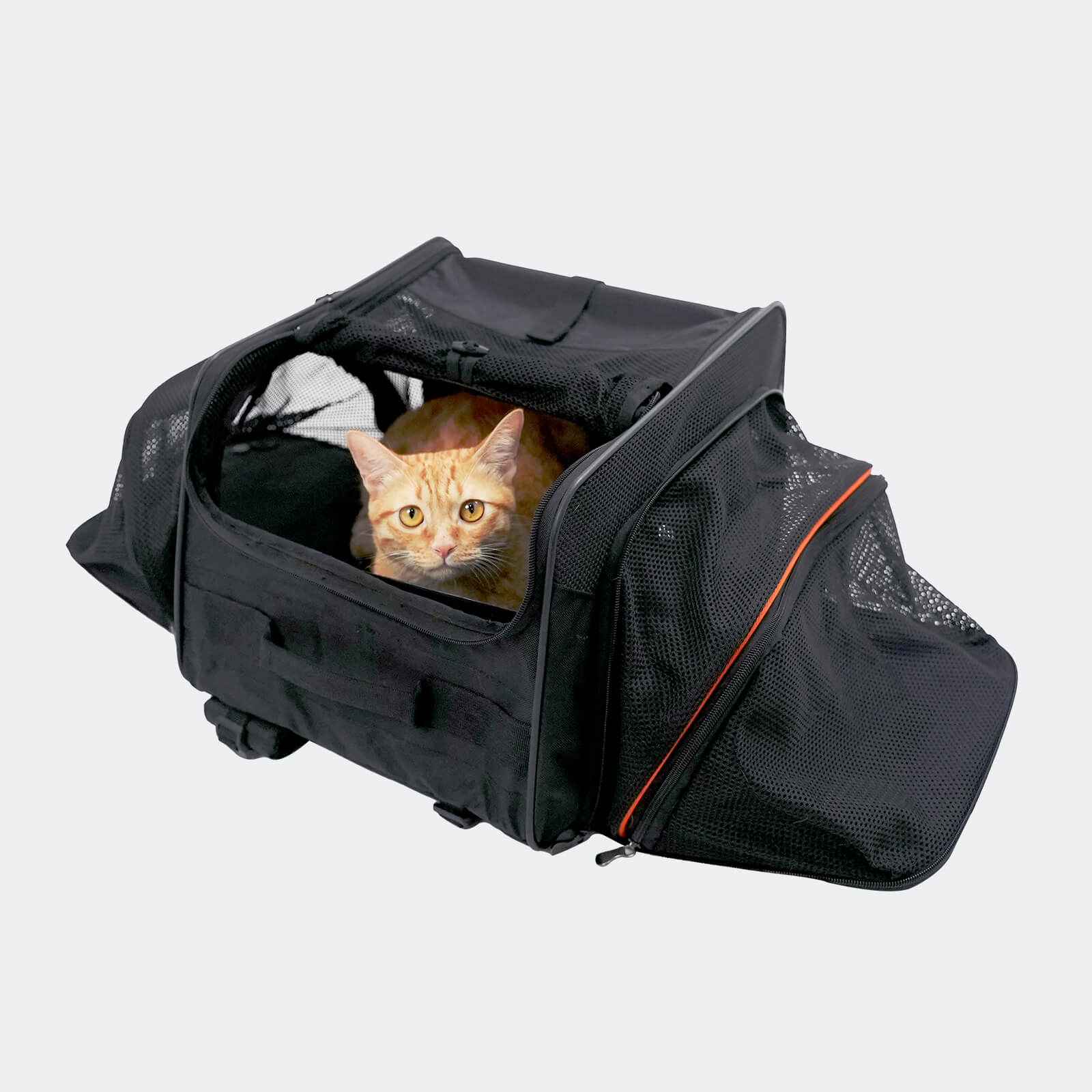 ibiyaya JetPaw Expandable In-Cabin Pet Carrier Backpack Airline-Approved Travel Backpack for Dogs & Cats