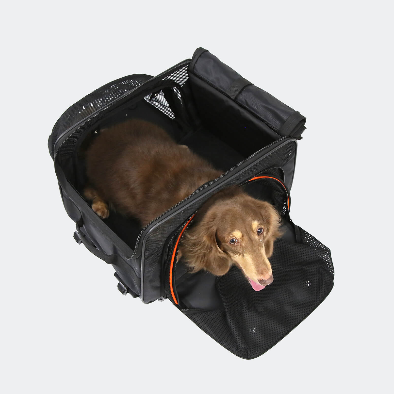 ibiyaya JetPaw Expandable In-Cabin Pet Carrier Backpack Airline-Approved Travel Backpack for Dogs & Cats