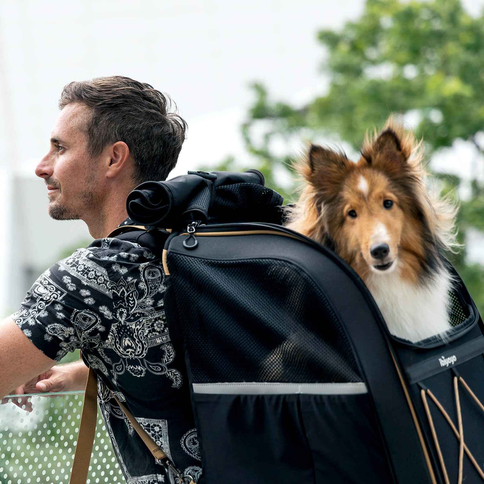 ibiyaya Champion Large Dog Carrier Backpack, with Optional Wheels