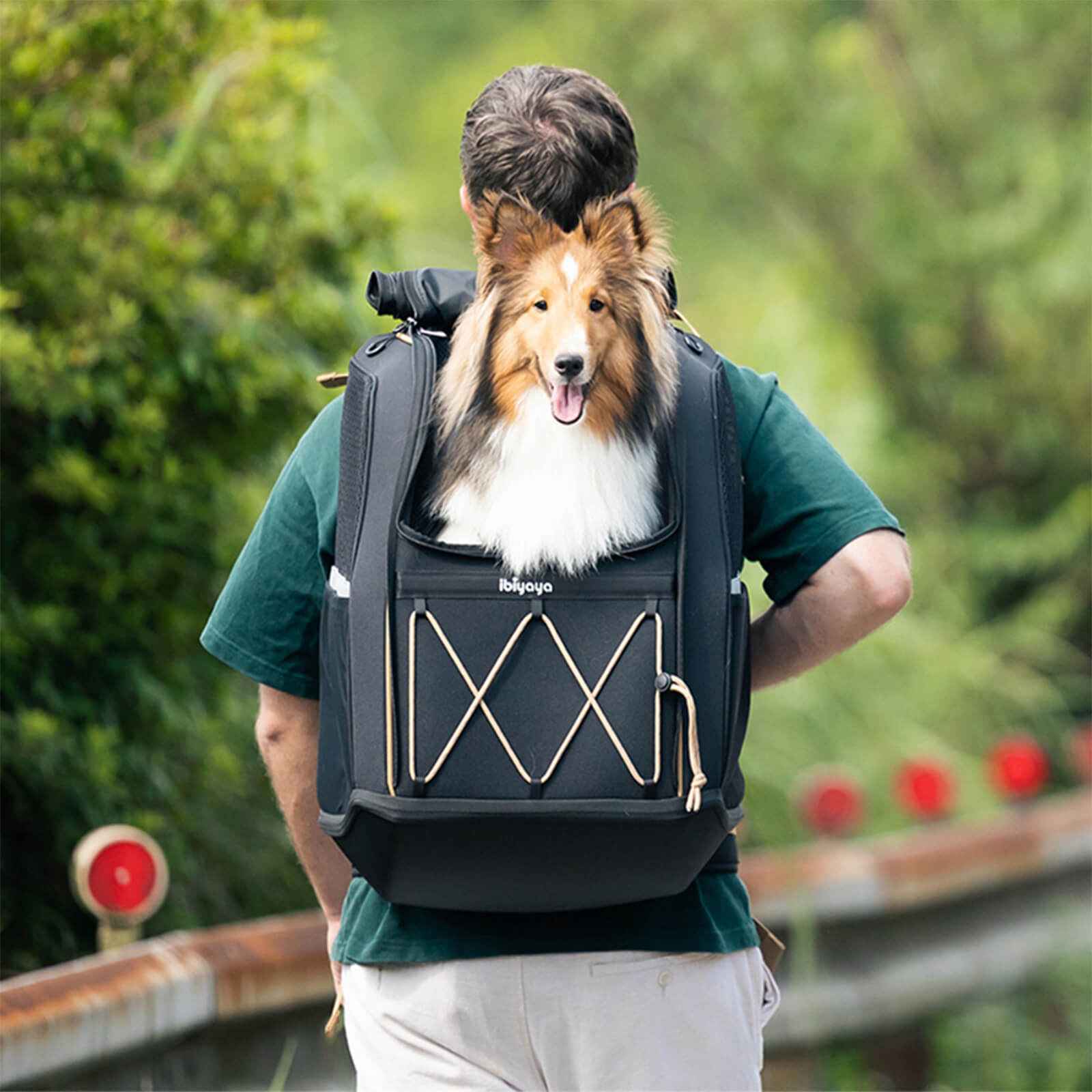ibiyaya Champion Large Dog Carrier Backpack, with Optional Wheels
