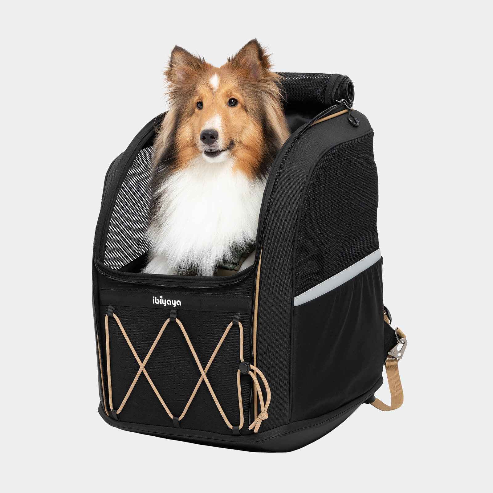 ibiyaya Champion Large Dog Carrier Backpack, with Optional Wheels