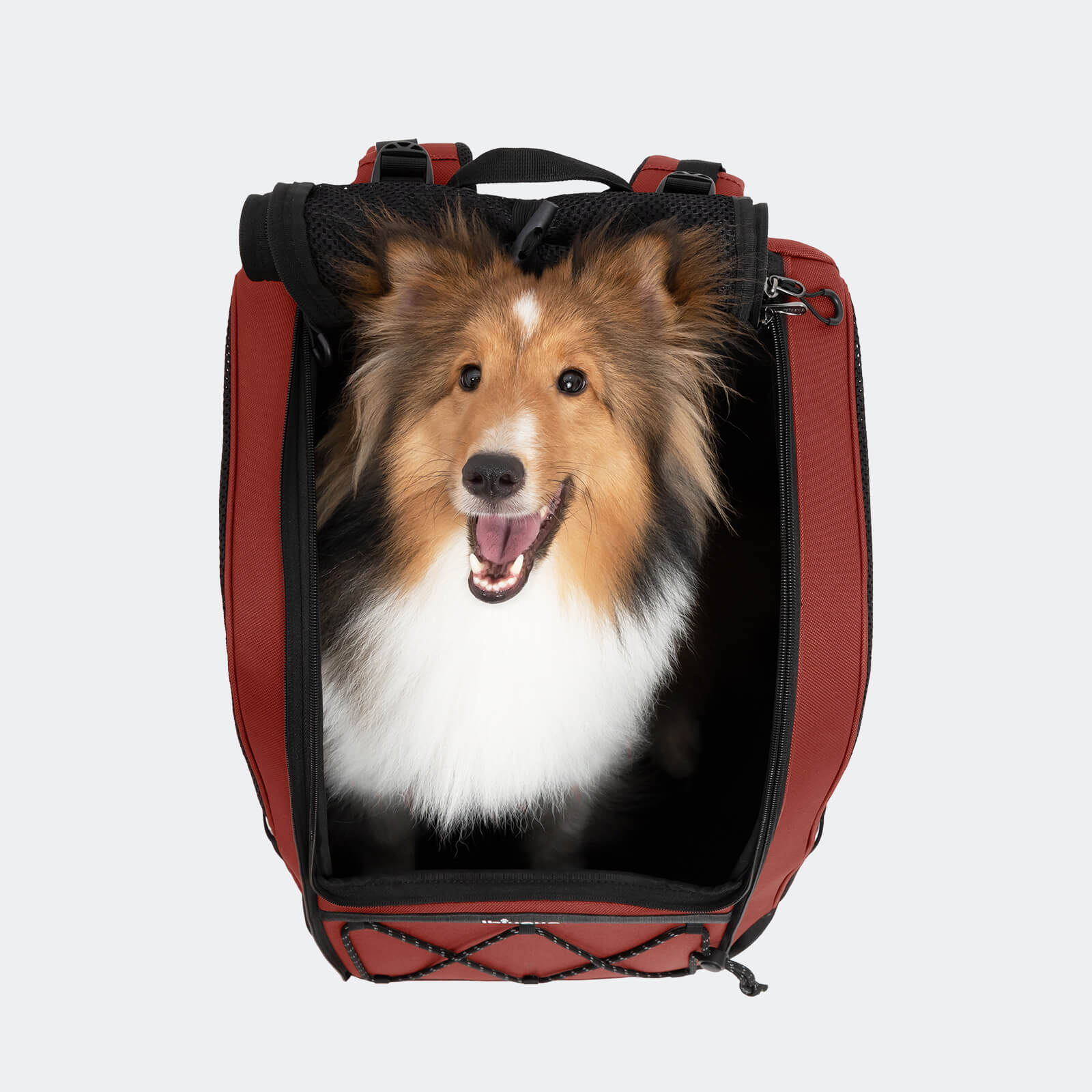 ibiyaya Champion Large Dog Carrier Backpack, with Optional Wheels