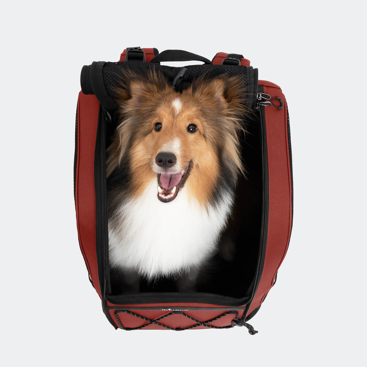 ibiyaya Champion Large Dog Carrier Backpack, with Optional Wheels