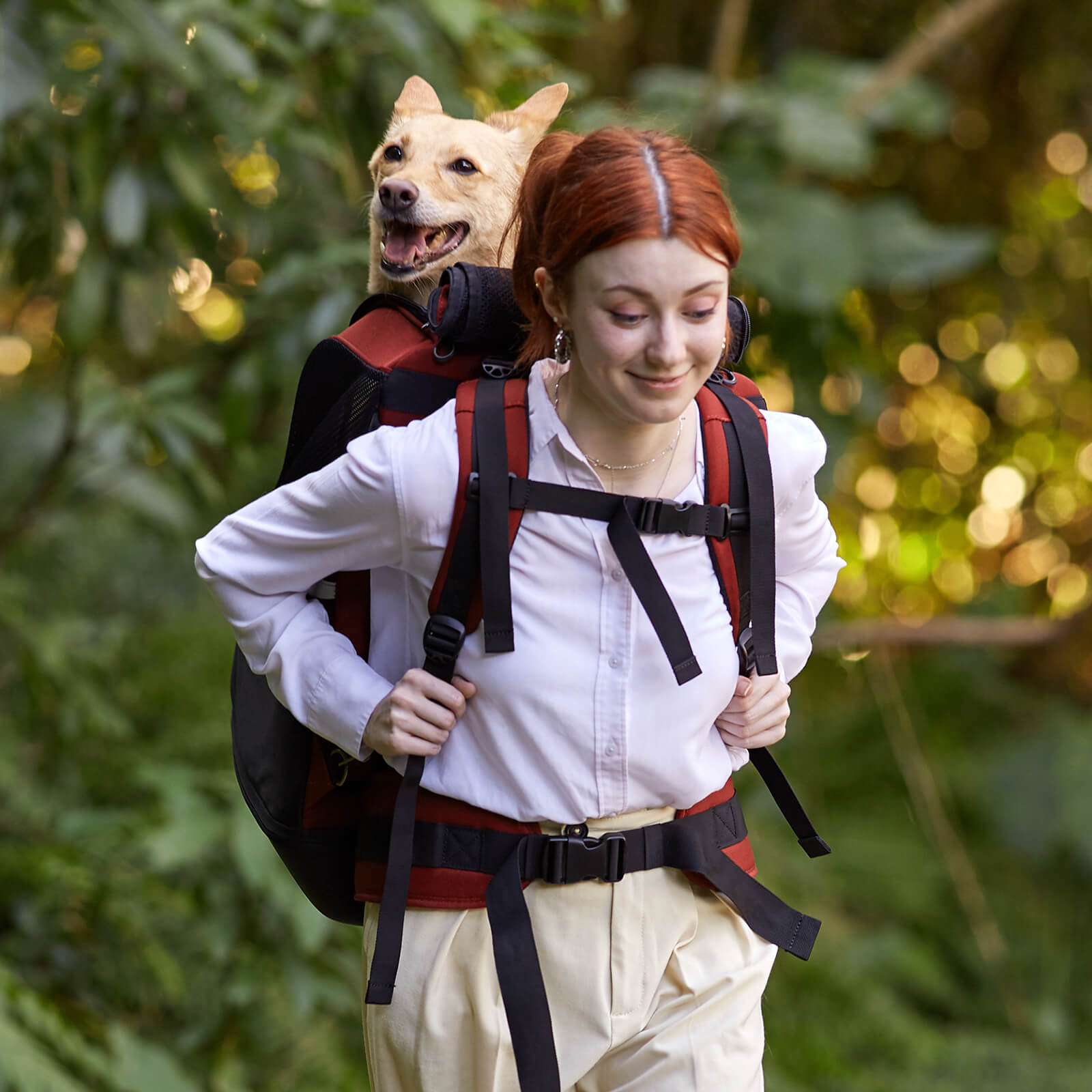 ibiyaya Champion Large Dog Carrier Backpack, with Optional Wheels