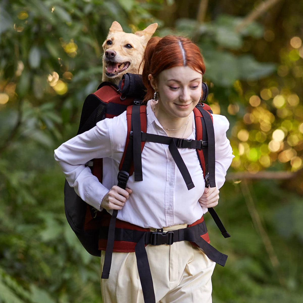 ibiyaya Champion Large Dog Carrier Backpack, with Optional Wheels