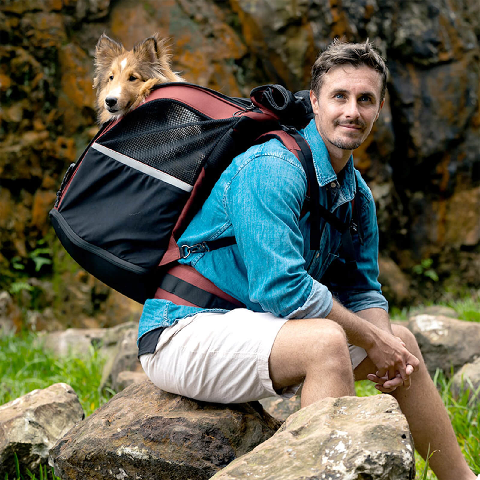 ibiyaya Champion Large Dog Carrier Backpack, with Optional Wheels