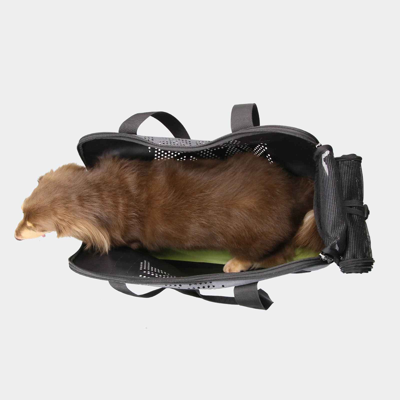 ibiyaya Dachshund Breezy Wanderer Fur-Free Pet Tote Bag