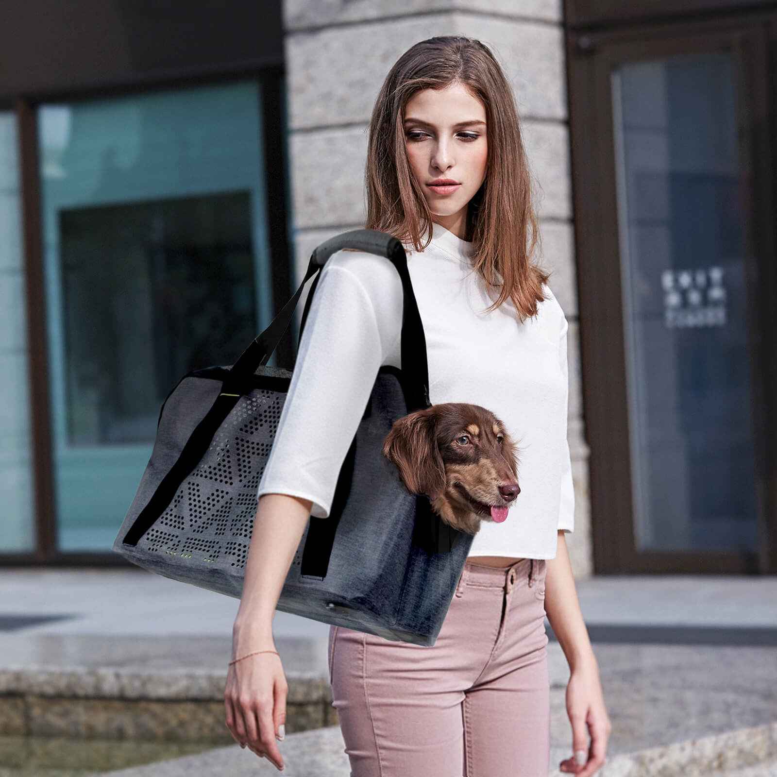 ibiyaya Dachshund Breezy Wanderer Fur-Free Pet Tote Bag
