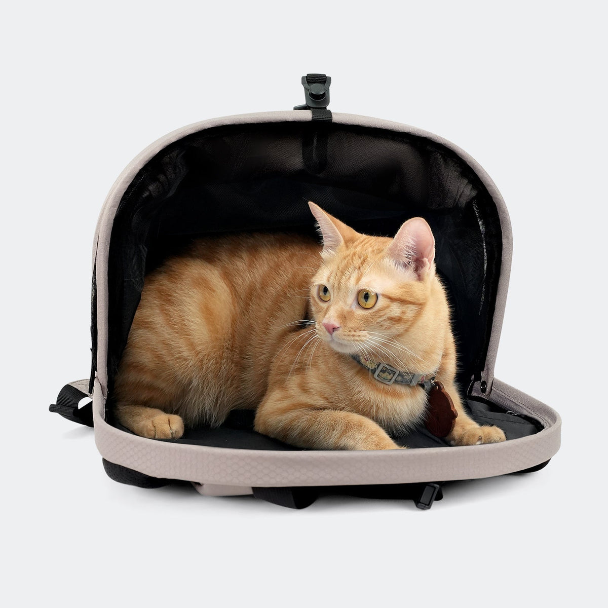 ibiyaya Panorama Zipper-Free Pet Carrier Backpack