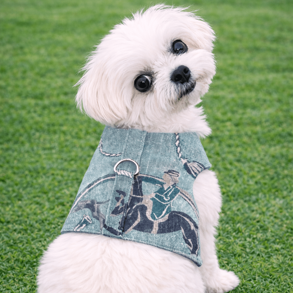 Heads or Tails Pup Luxury Equestrian Linen Denim Dog Harness