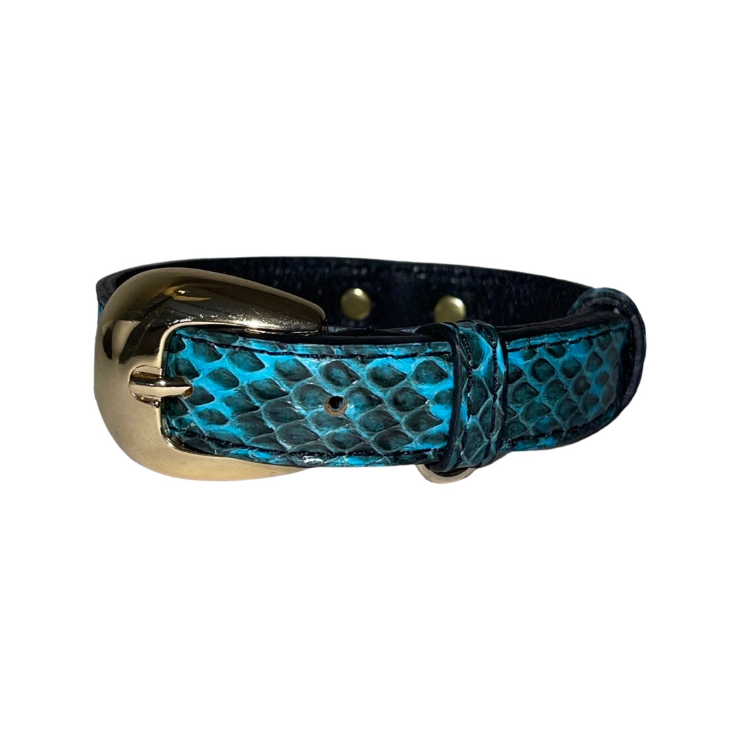 Allysa Payne XS/S 7"-14" Turquoise & Black Custom Snake Dog Collar/Custom Gold Oval Italian Hardware
