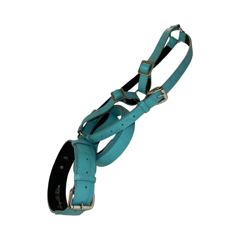 Allysa Payne The Tiffany Collection Turquoise Blue Embossed Croc Italian Leather , With Our Classic Hardware Dog Collar, Leash & Harness Set