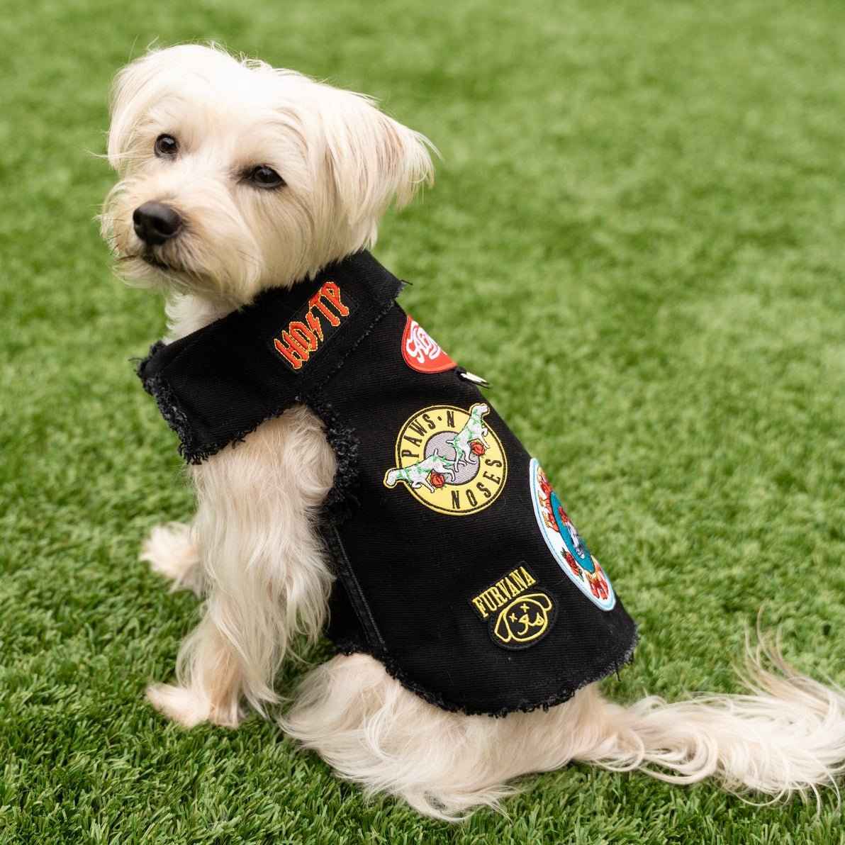 Heads or Tails Pup Ruff and Roll Denim Jacket Dog Vest