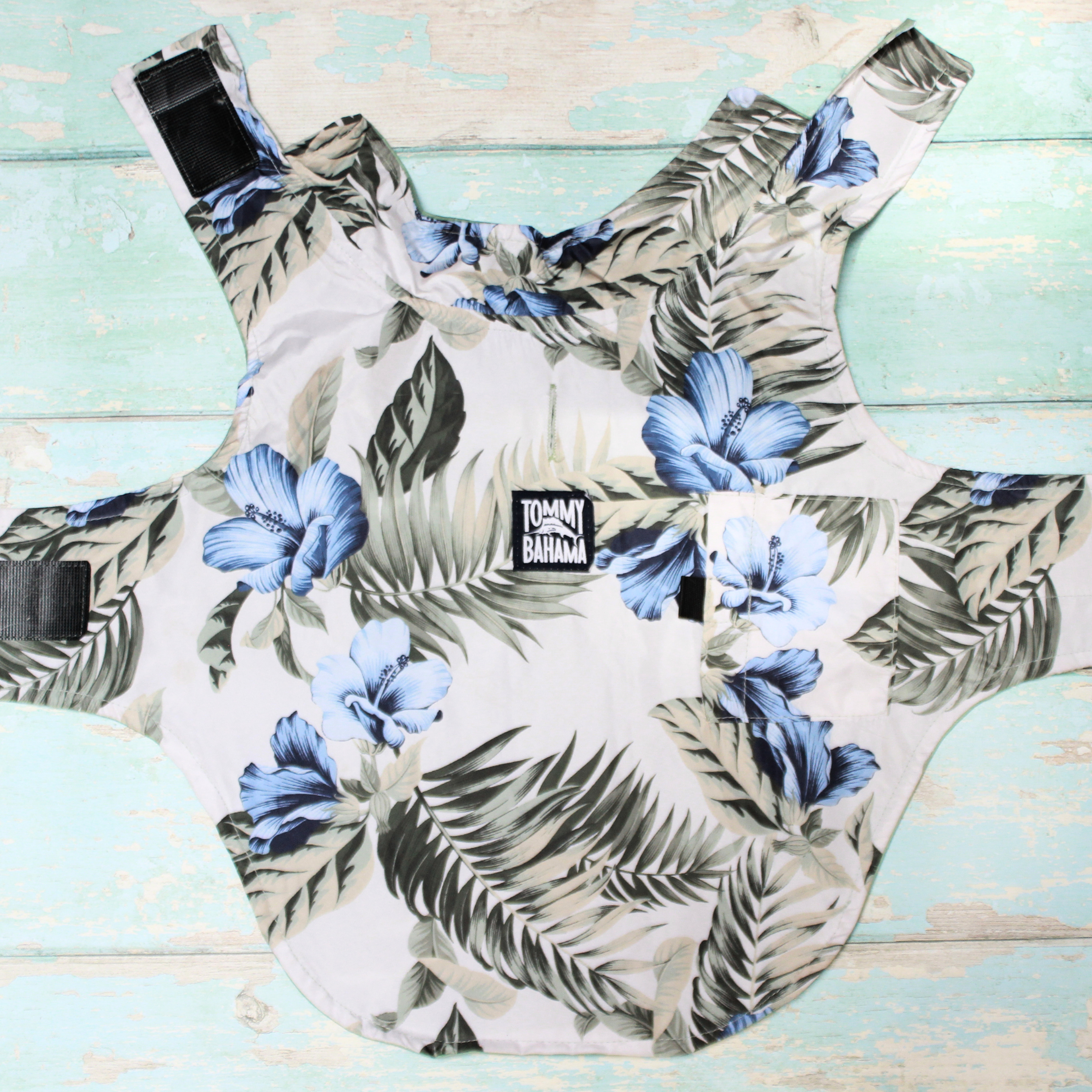 Tommy Bahama Pet - Frandy