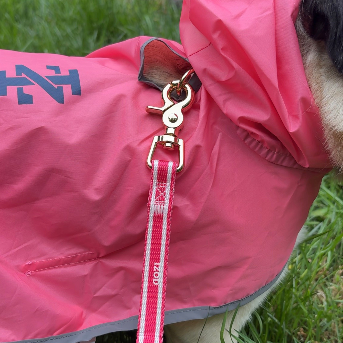 IZOD Pet - Packable Raincoat