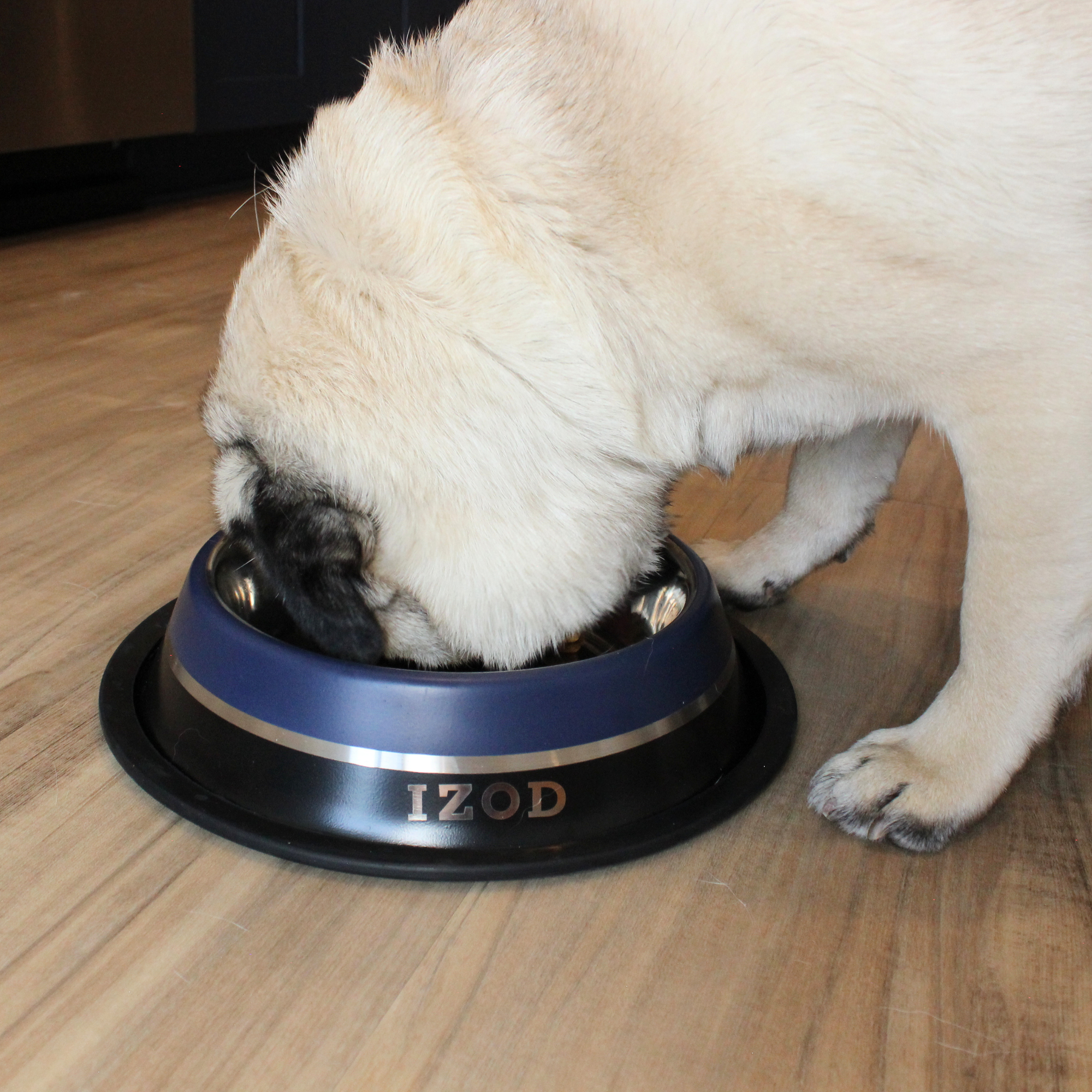 IZOD Pet - Stainless Steel Bowl | HT Animal Supply