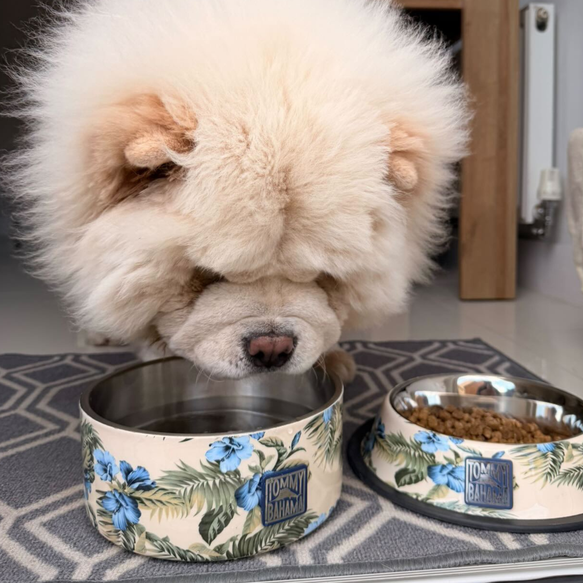 Tommy Bahama Pet - Double Insulated Stainless Steel Bowls