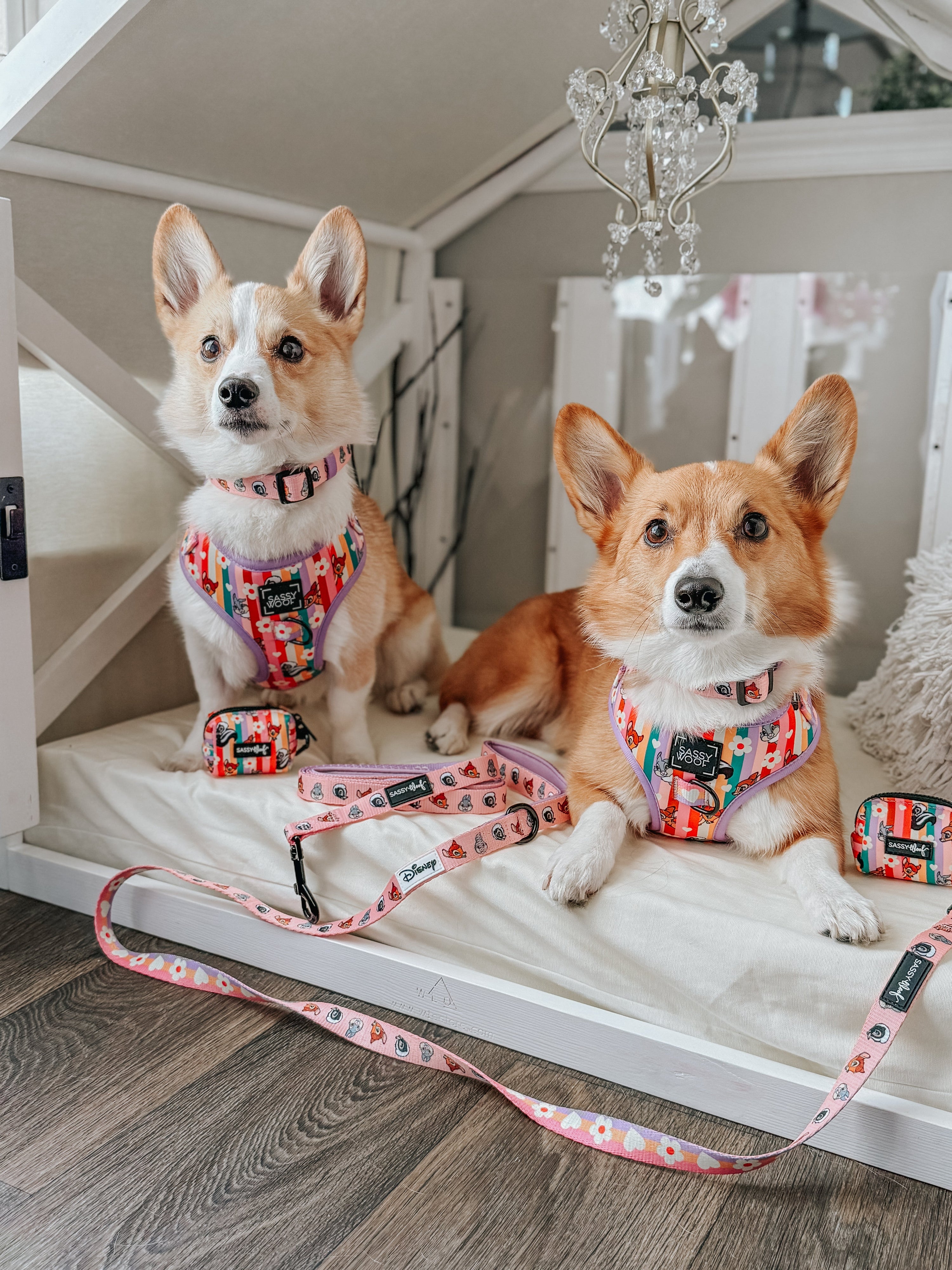 Dog Collar - Disneys Bambi