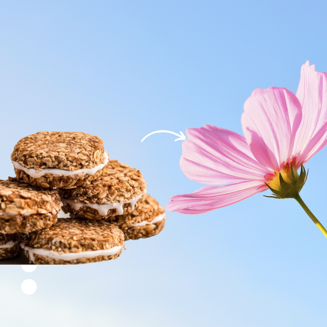 PAWsitively Organic Oatmeal Cream Pie Dog Treats