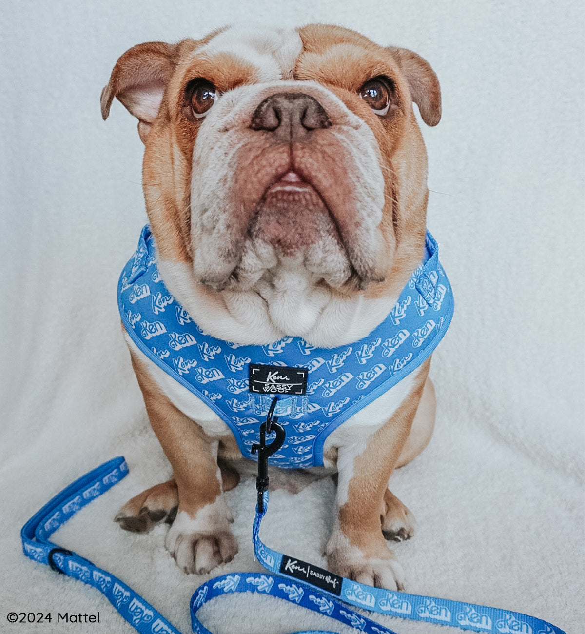 Dog Leash - KEN™
