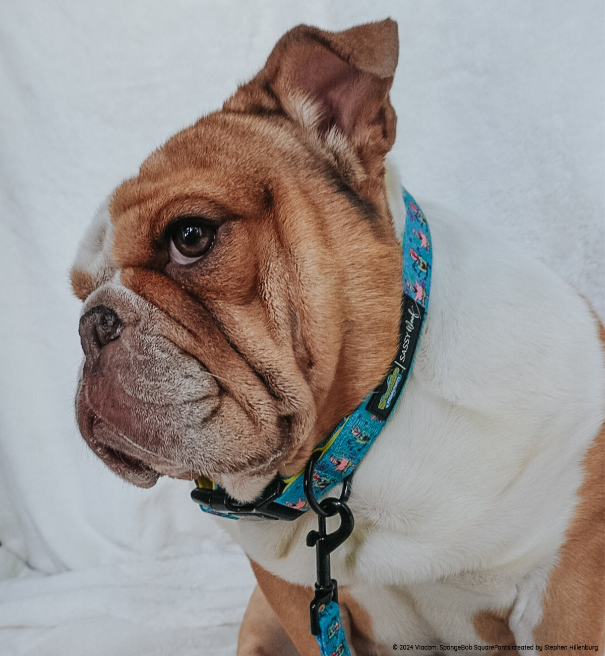 Dog Collar - SpongeBob SquarePants™ Jelly Fishin